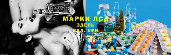ПСИЛОЦИБИНОВЫЕ ГРИБЫ Верея