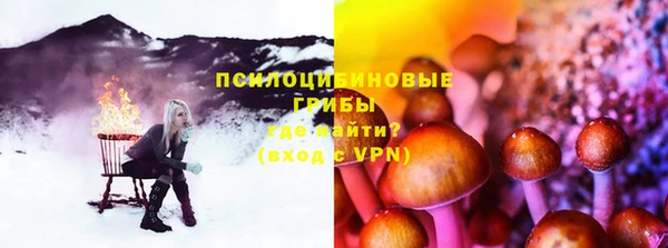 ПСИЛОЦИБИНОВЫЕ ГРИБЫ Верея