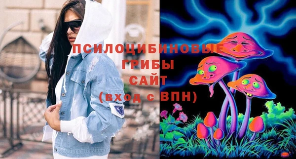 стафф Верхний Тагил